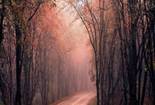 首尔外围女全套服务